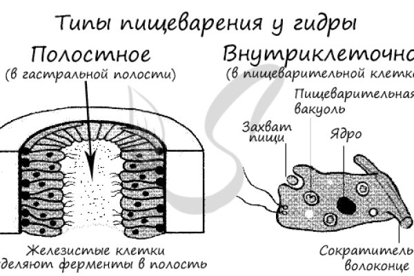 Кракен макет даркнет только через тор