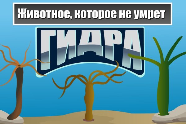 Кракена точка нет