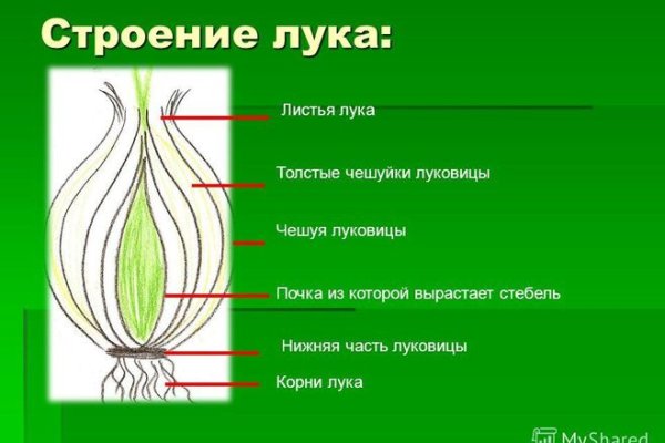 Какая сейчас ссылка на кракен