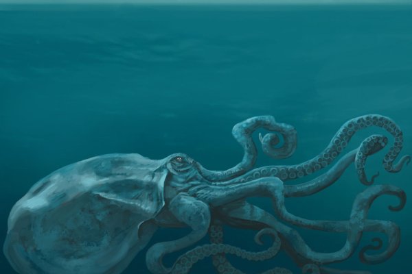 Маркетплейс кракен kraken