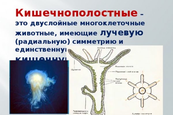 Кракен орг