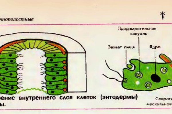 Кракен маркетплейс реклама текст