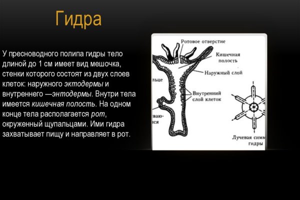 Kraken новая ссылка