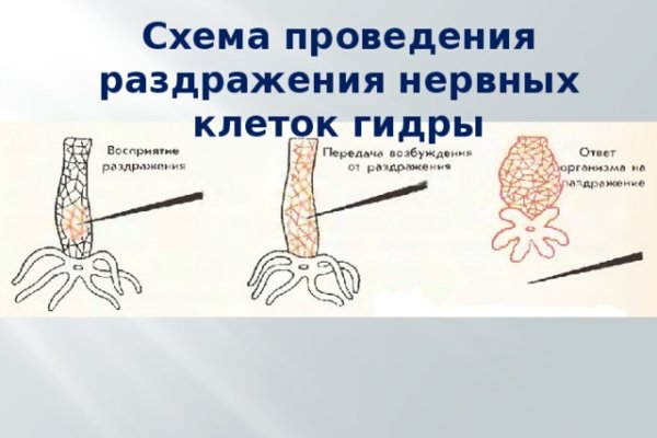 Ссылка на кракен тор браузер
